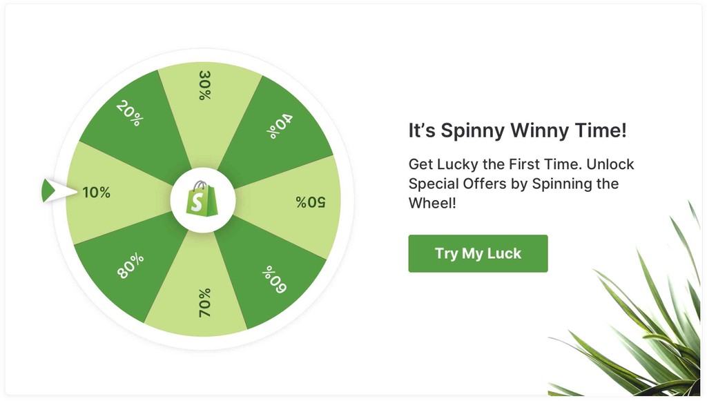 Spin the Wheel Popup Template